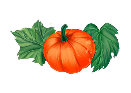 Vegetable pumpkin with green leaves from multicolored paints. Splash of watercolor, colorful drawing, realisticのイラスト素材