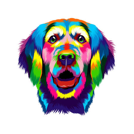 Portrait of the head of a golden retriever from multicolored paints. Splash of watercolor, colored drawing, realisticのイラスト素材