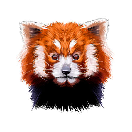 Portrait of the head of a small red panda from multicolored paints. Splash of watercolor, colored drawing, realisticのイラスト素材