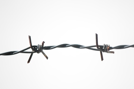 Chestnut barbed wire の写真素材