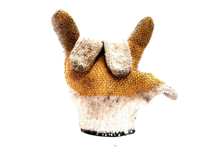 gloves