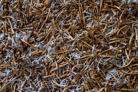Carpetの写真素材