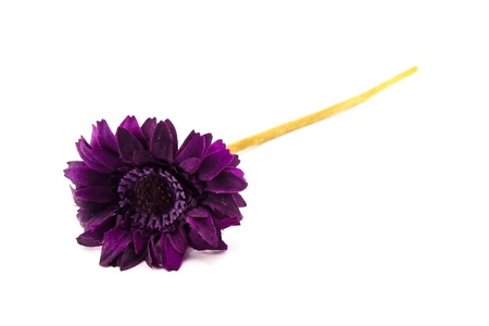 Fake flowersの写真素材