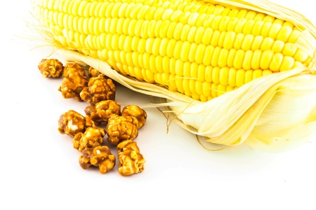 cornの写真素材