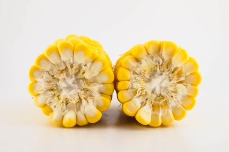 cornの写真素材