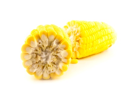 cornの写真素材