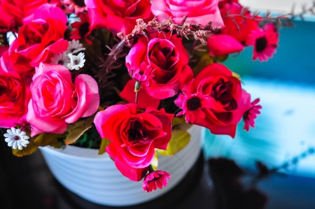 flowerの写真素材
