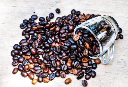 Coffee beansの写真素材