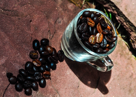 Coffee beansの写真素材