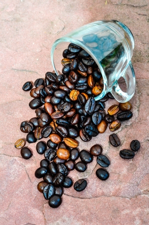 Coffee beansの写真素材