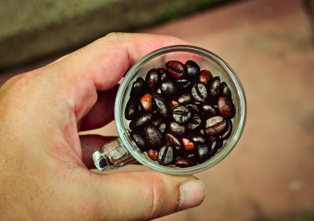 Coffee beansの写真素材