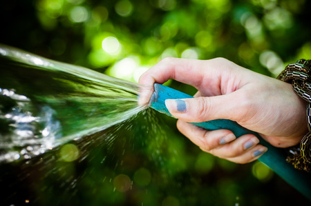 wateringの写真素材