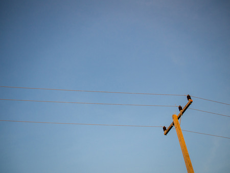 electricity postの写真素材