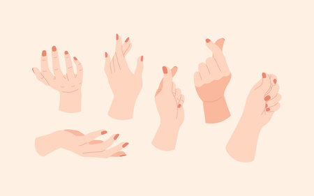 Set of female hands with different gestures. Vector illustration in flat style.のイラスト素材