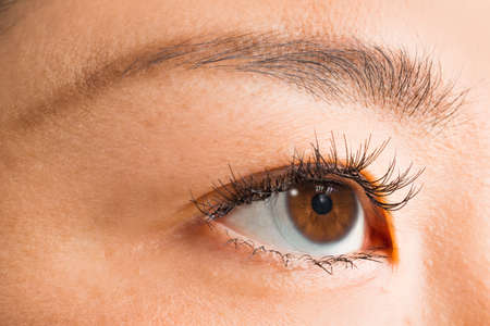 Color Contact and Exposed Contact and Eyeras