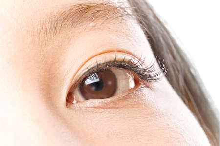 Color Contact and Exposed Contact and Eyeras