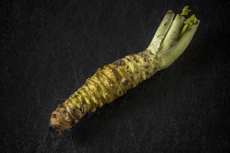 Sushi General sushi Japanese foodの写真素材