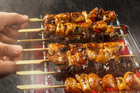 Yakitori YAKITORI Japanese Chicken Barbecueの写真素材