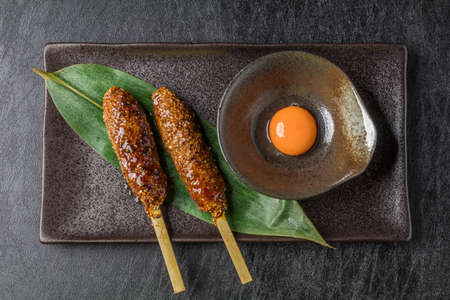Yakitori YAKITORI Japanese Chicken Barbecue