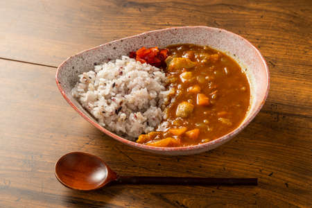 Typical Indian Curry and Nan Typical Indian Curry Setの写真素材