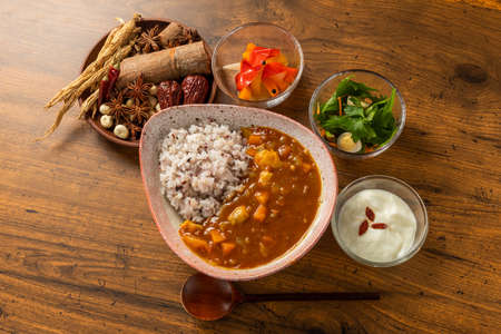 Typical Indian Curry and Nan Typical Indian Curry Setの写真素材