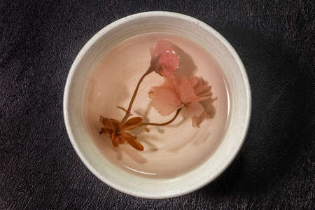 Beautiful Herbal Tea Colorful Herb Tea