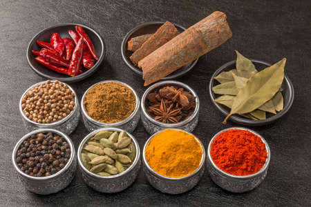 Spice Group Photo Spice India Dish of the Curry