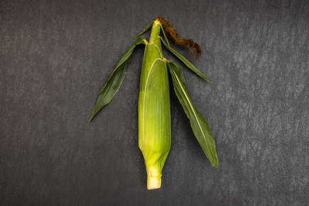 Sweet Corn Sweet and Delicate Cornの写真素材