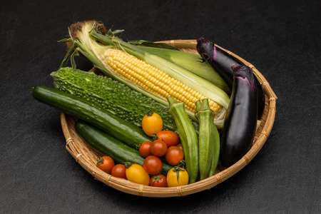 summer vegetable group photo of summer vegetableの写真素材