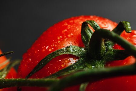 Fresh tomatoes on a dark background. Collection of tomatoes. The view from the top. Side viewの写真素材