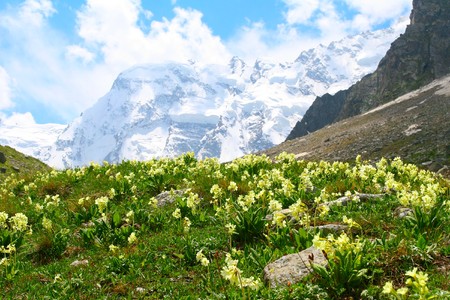 Green field and white cloudsの写真素材
