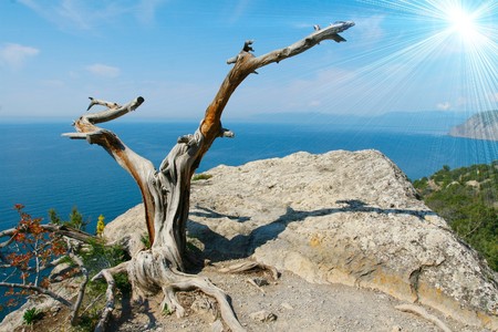 Wonderful coastlineの写真素材