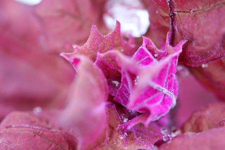 backgroundの写真素材