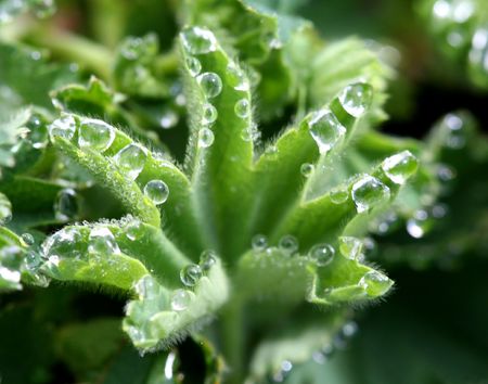 drop