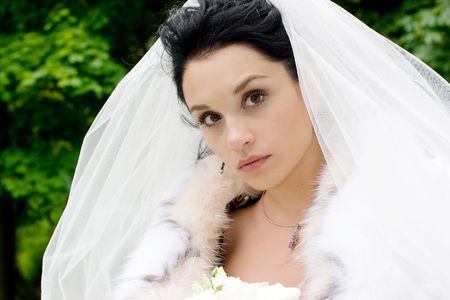 Brideの写真素材