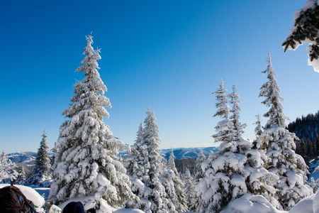 Carpathian winter mountainsの写真素材