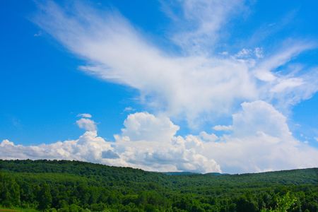 Green field and white clouds   の写真素材