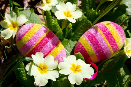 Easter eggs on a green grassの写真素材