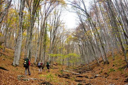 Hiking in the Crimea mountains