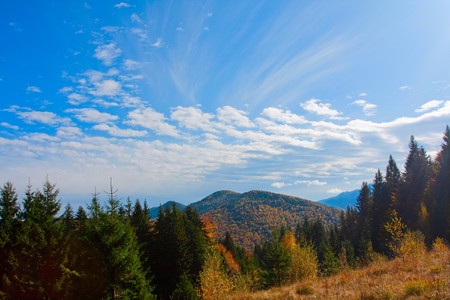 autumnの写真素材