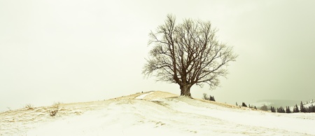 Winter mountainsの写真素材