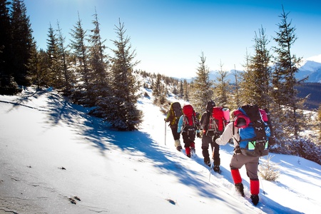 Hiker in winter mountainsの写真素材