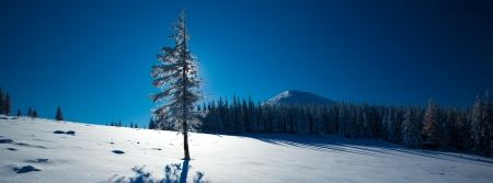 Carpathian winter mountainsの写真素材