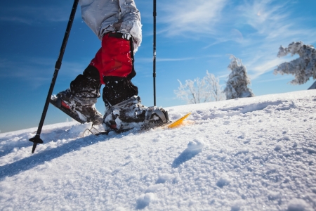 Hiker in winter mountains snowshoeingの写真素材
