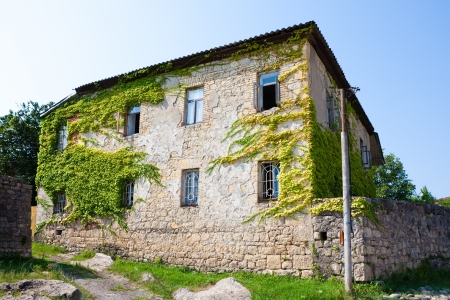 Old stone building covered with grape vine in Georgia.
の写真素材