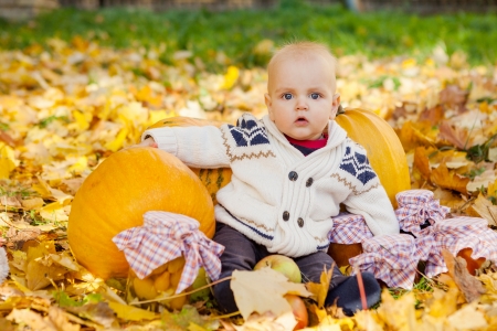 Child in knitted sweater sits among pumpkins in autumn parkの写真素材