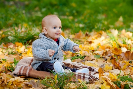 Child in knitted sweater sits among pumpkins in autumn parkの写真素材