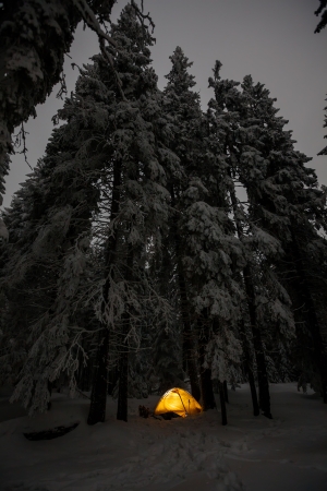 Camping during winter hiking in Carpathian mountainsの写真素材