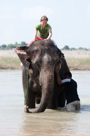 Woman plays with elephant in riverの写真素材
