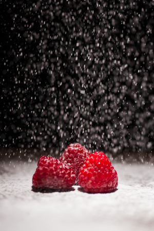 Raspberries covered with sugar powderの写真素材